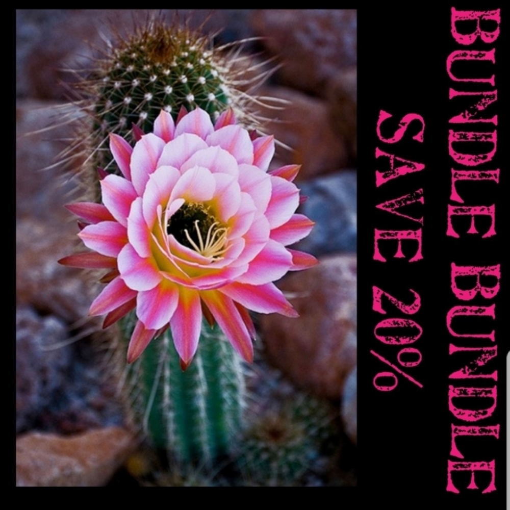 Bundle and save 20%